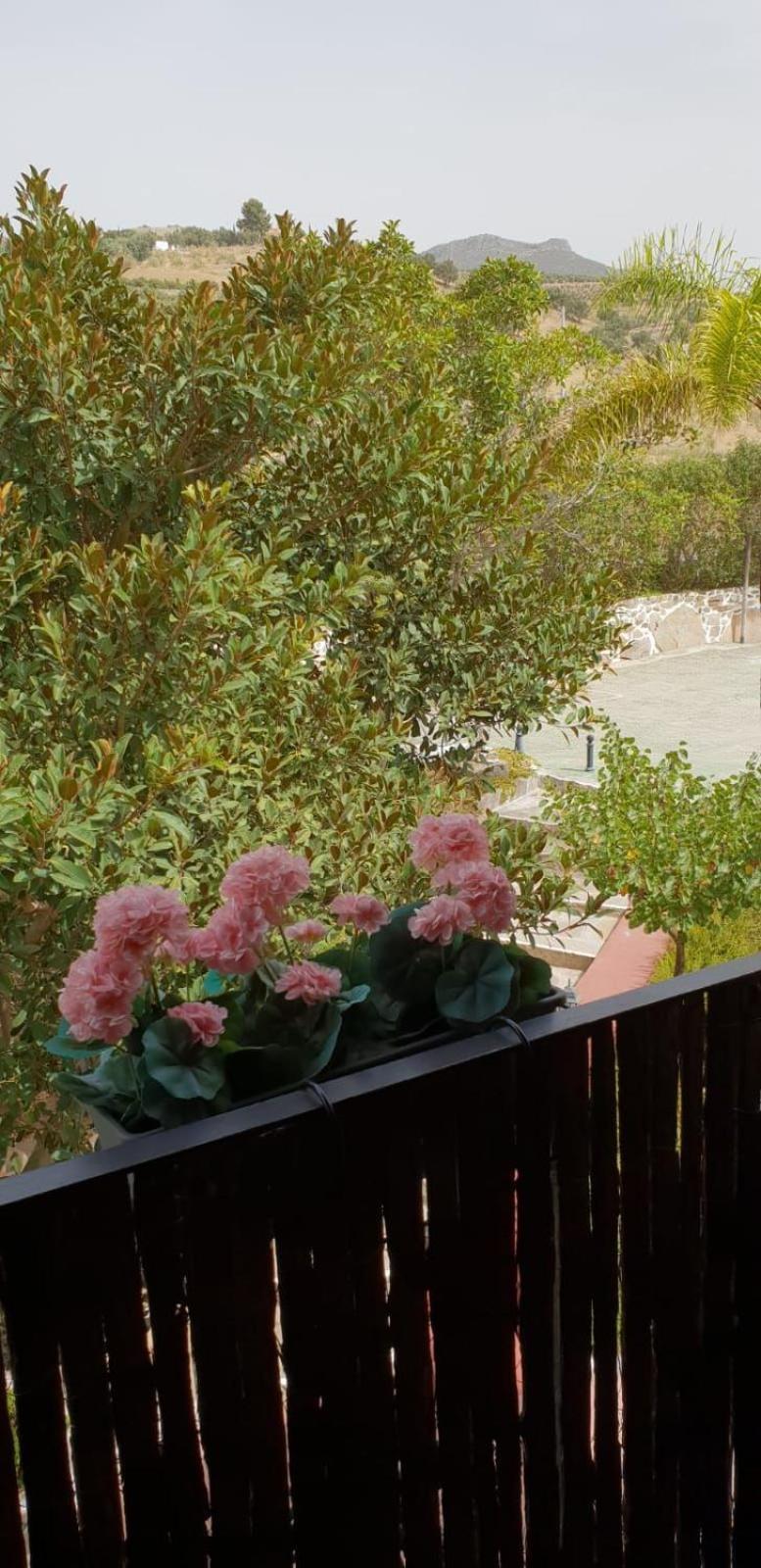 Hotel Cortijo De Salia Alcaucin Bilik gambar